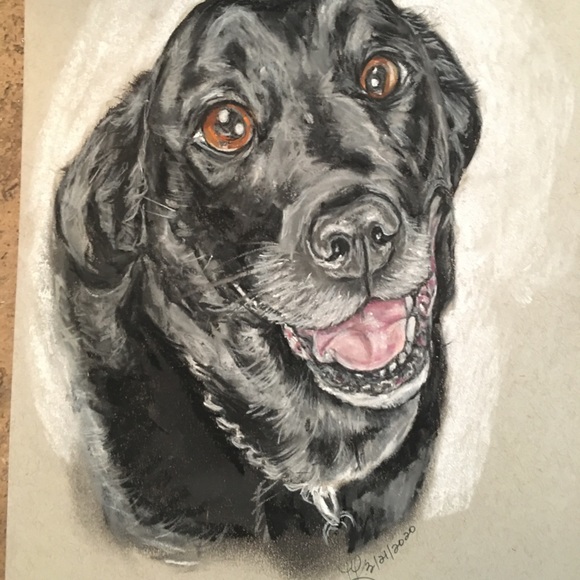 🎉 🎉 HP 🎉 🎉 Custom Commissioned Pet Portraits w/ certificate of authenticity - Picture 5 of 9